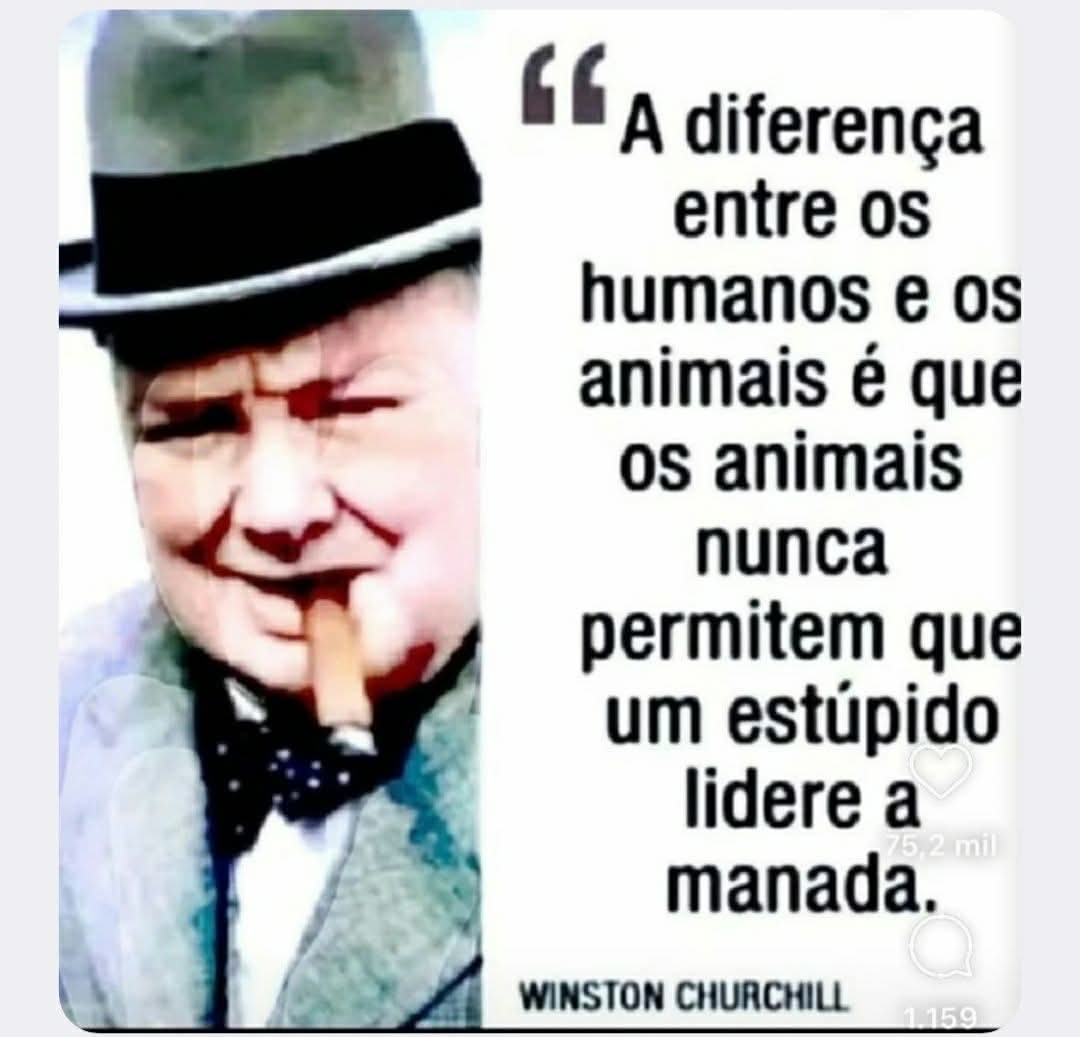 Resumo do dia.