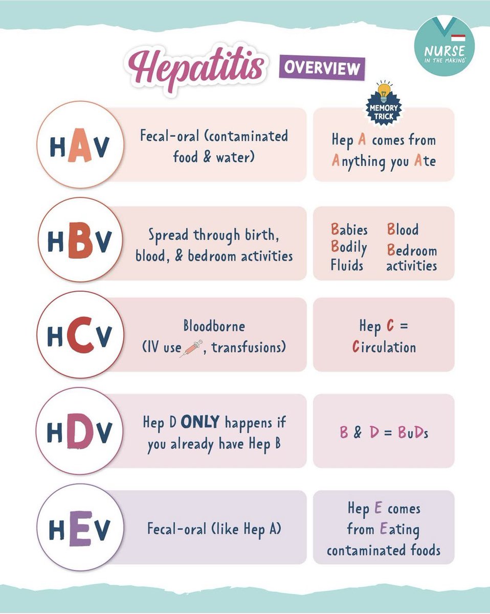 Nursing_888's tweet photo. 🔆 Hepatitis 🦠

🫁🩻 https://t.co/aV4dXRzsEH