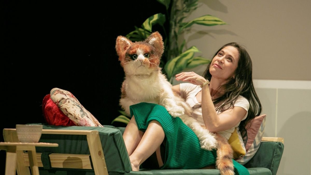 ¿Estás atravesando un duelo? 🥹 Te recomendamos ver “Cati, Catalina, Calicó”, una obra de teatro que nos habla sobre la pérdida, el amor y la nostalgia 

dondeir.com/cultura/cati-c…