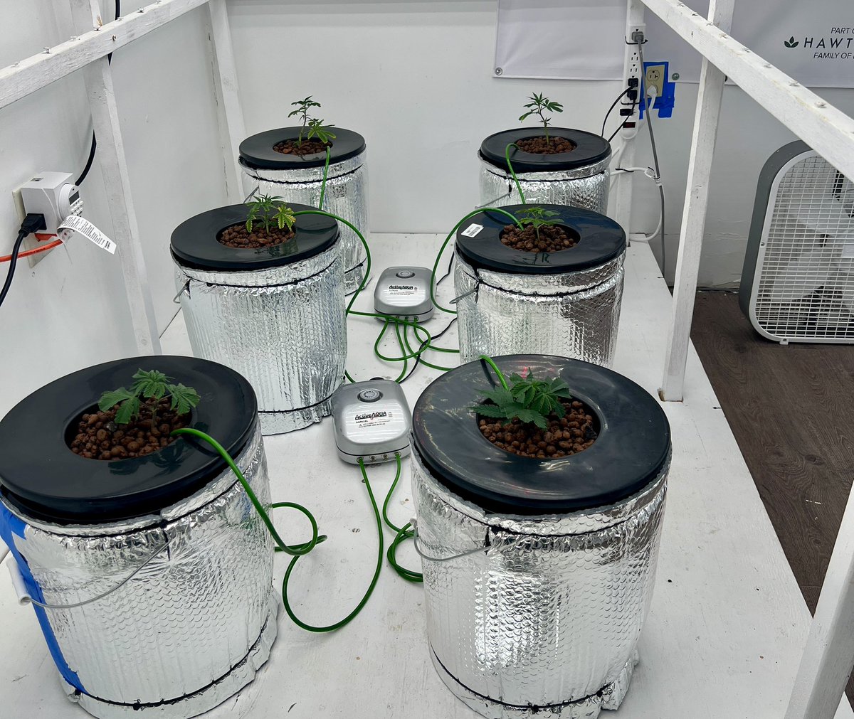 ThatHydroCouple's tweet photo. Back room reset. Mk ultra , rainbow Rush , super buff Cherry, wedding poop. #growyourown #CannabisCommunity #gardening #Grandmasterleds #GeneralHydroponics https://t.co/KVMJBrF1KX
