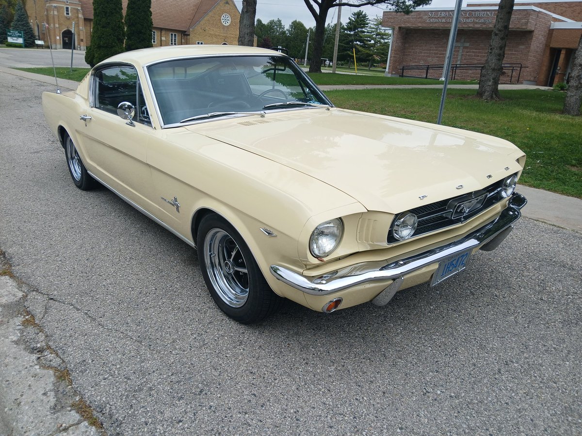 Clark Chernak tweet media