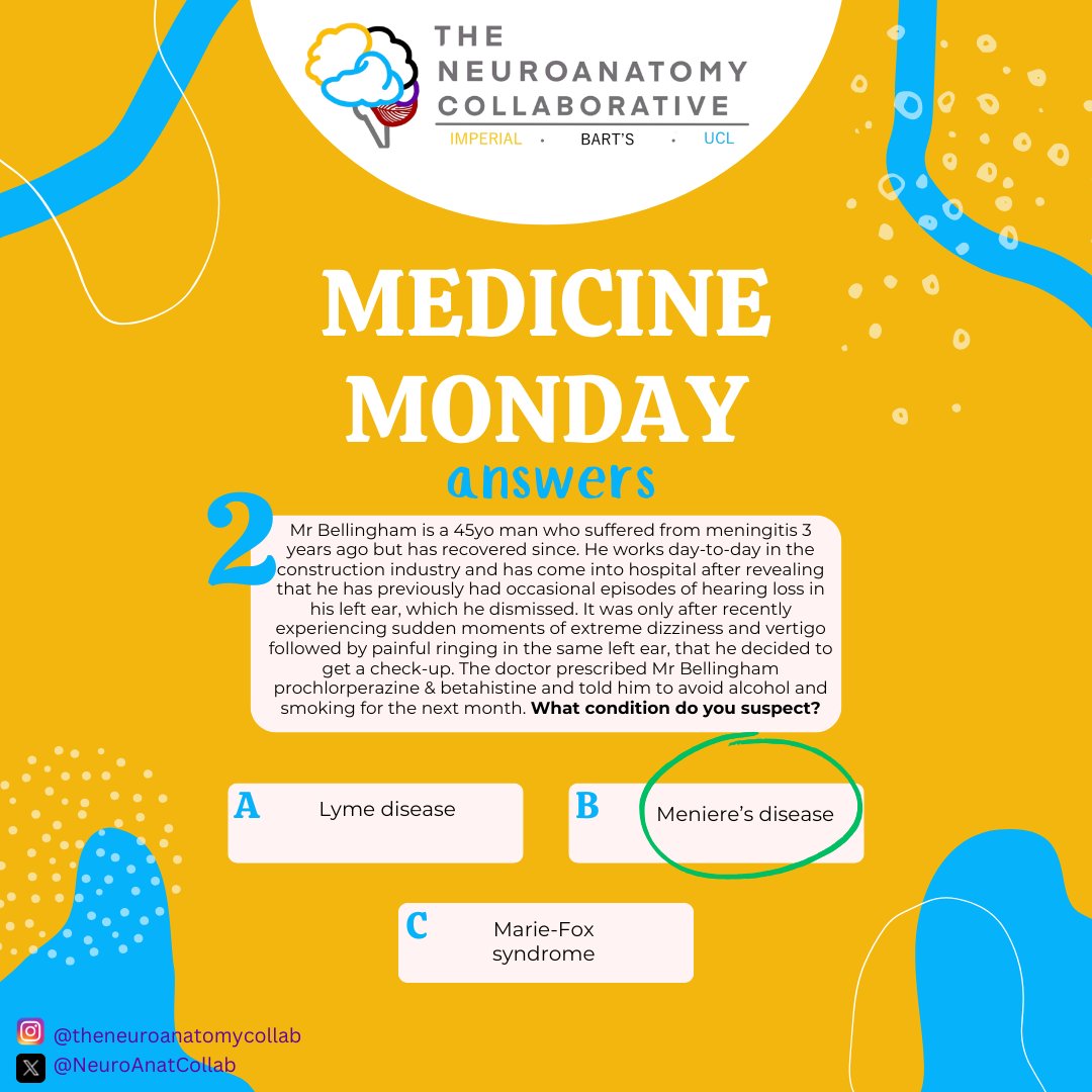 The Neuroanatomy Collaborative tweet media