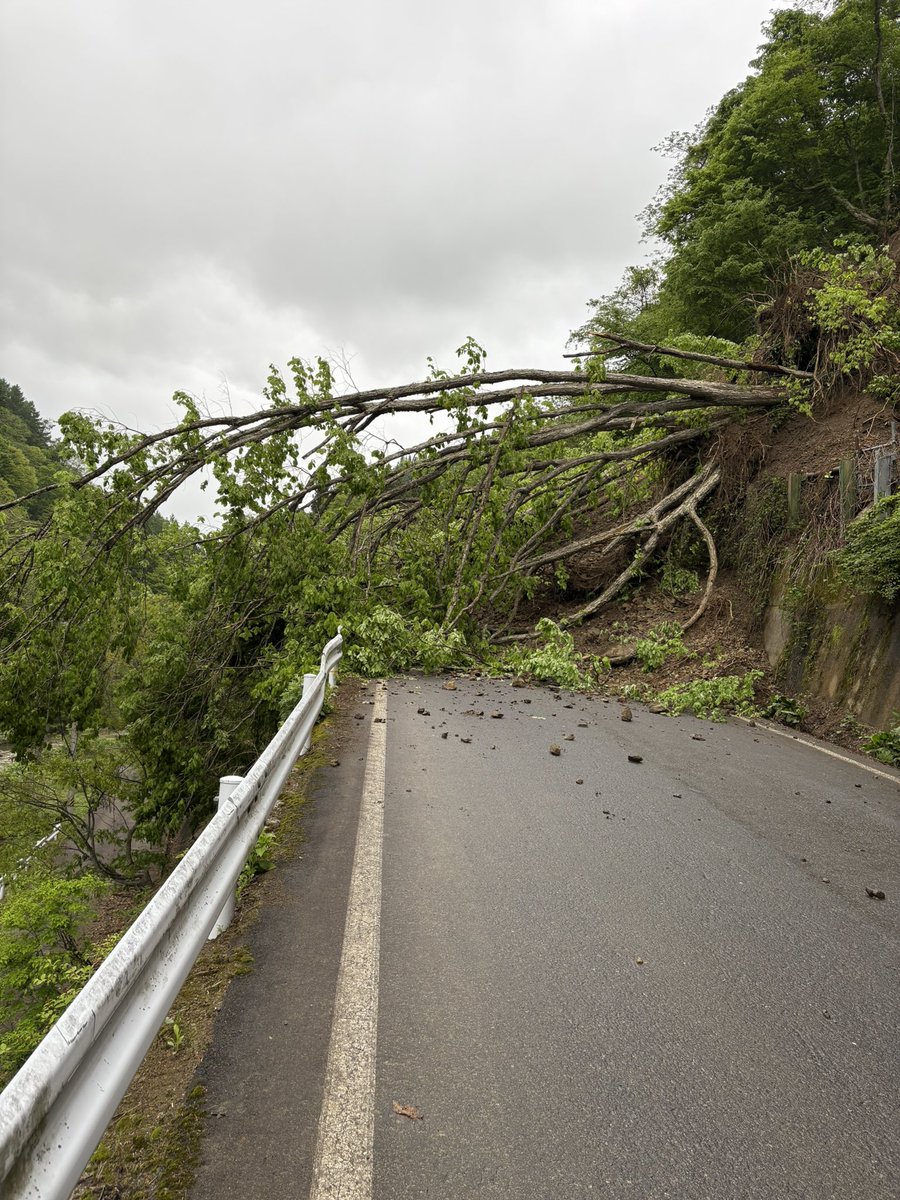 よし。やるか…