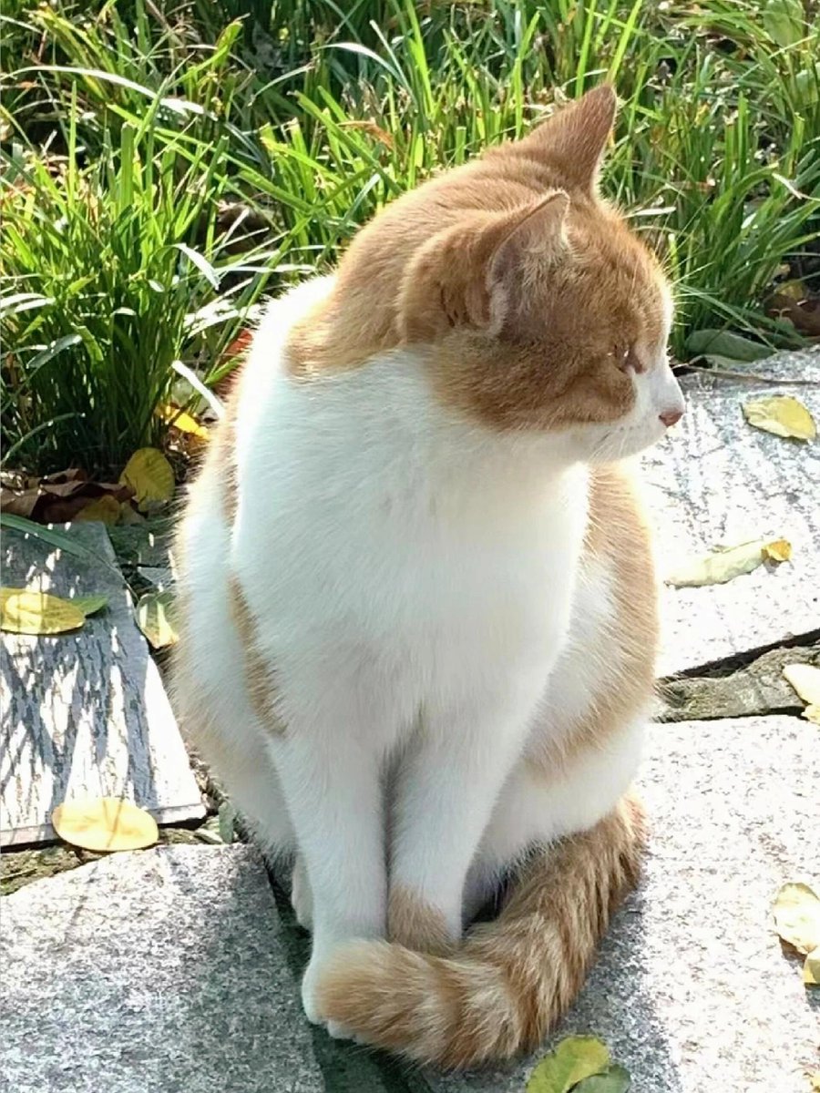 朝一番の花束を自分に贈ります