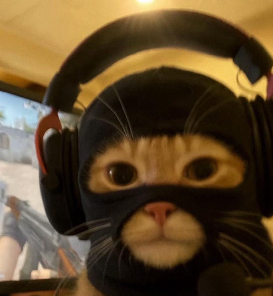 let’s launch a token!