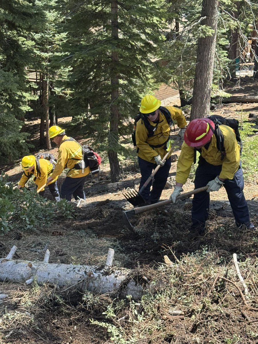 NLTahoeFire's tweet photo. Wildland season is here, and we’re getting ready!
This week’s training focuses on wildland operations—reviewing radio communications, constructing hand line, structure protection and flowing water.
#WildlandFireSeason #TrainingReady #NLTFPD #FireSeasonPrep #HandLine #StructureProtection