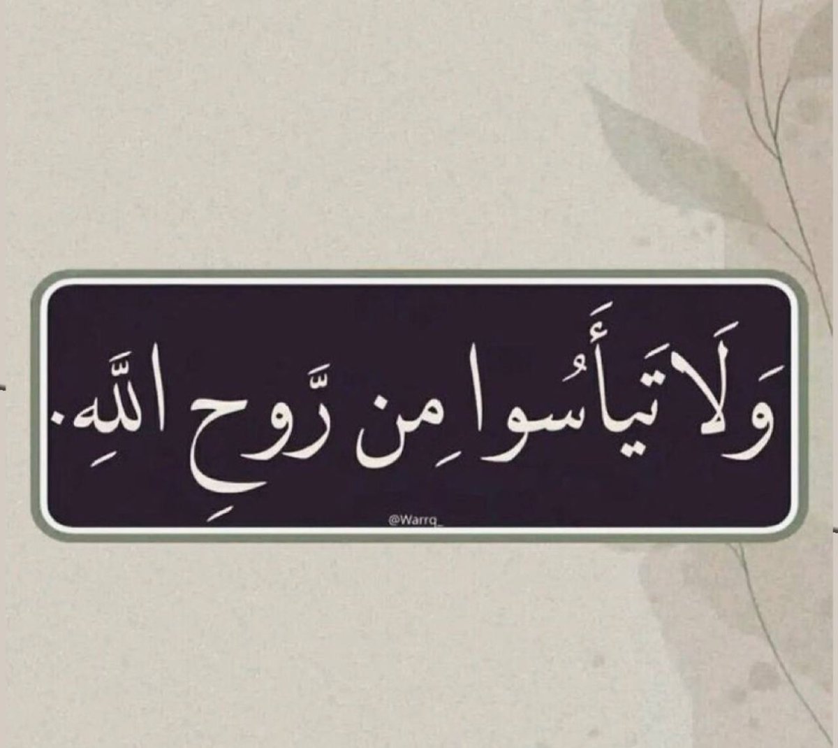 وِتركم || الوتر سكنيّة القلوب 🤍.