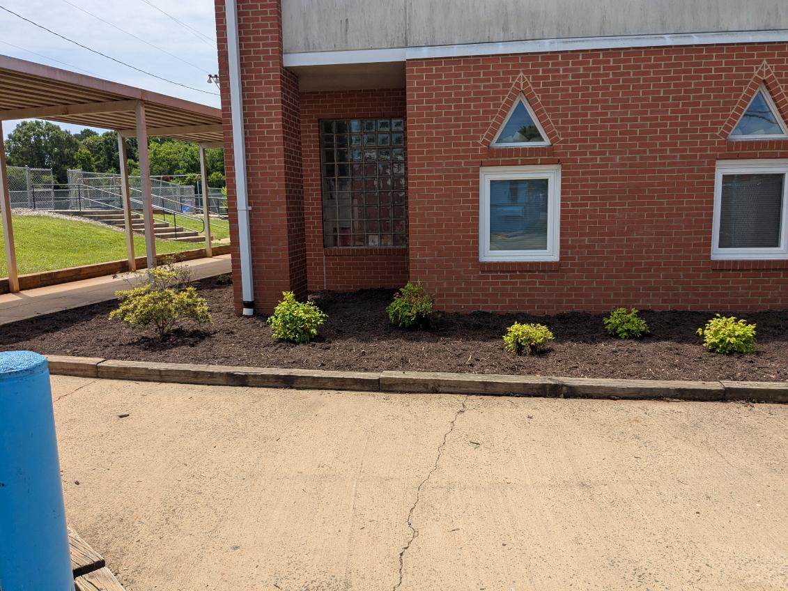 Wow! Our campus looks great! Thank you to Chatham Church for graciously funding this improvement project. 

And thank you to the volunteers from the church and our PES community for coming out today and working hard!!

Can't wait to see butterflies in our new pollinator garden!