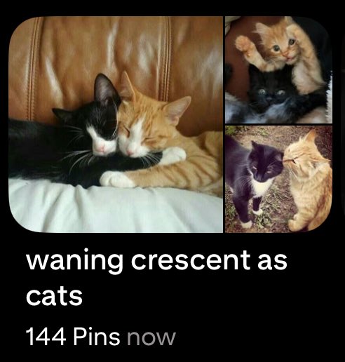 jazforthesoul's tweet image. get on my #level