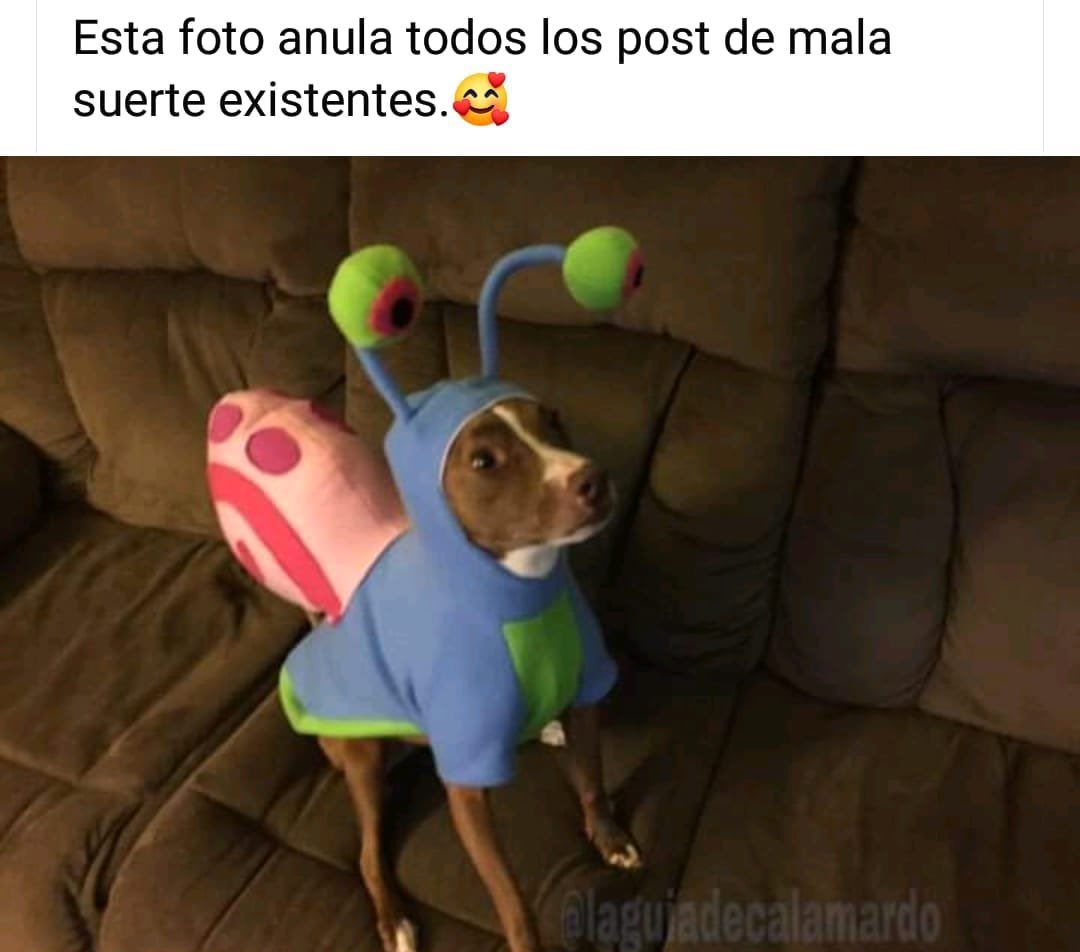 Andrea Lara tweet media