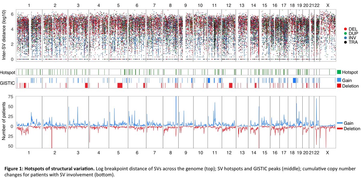 mtmdphd's tweet photo. Revealing the Impact of Recurrent and Rare Structural Variations in Multiple Myeloma - @EHRustad et al. #ASH19 Abstract 576 https://t.co/kchnpIPzfs #mmsm #cagenome https://t.co/KsZkuJAS8R
