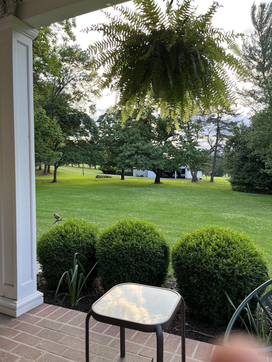 Beautiful evening on the porch - love the reflection of clouds in the table.