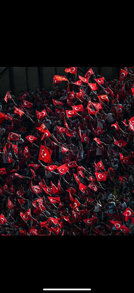 sarı koala (@zeynepcr41) on Twitter photo 