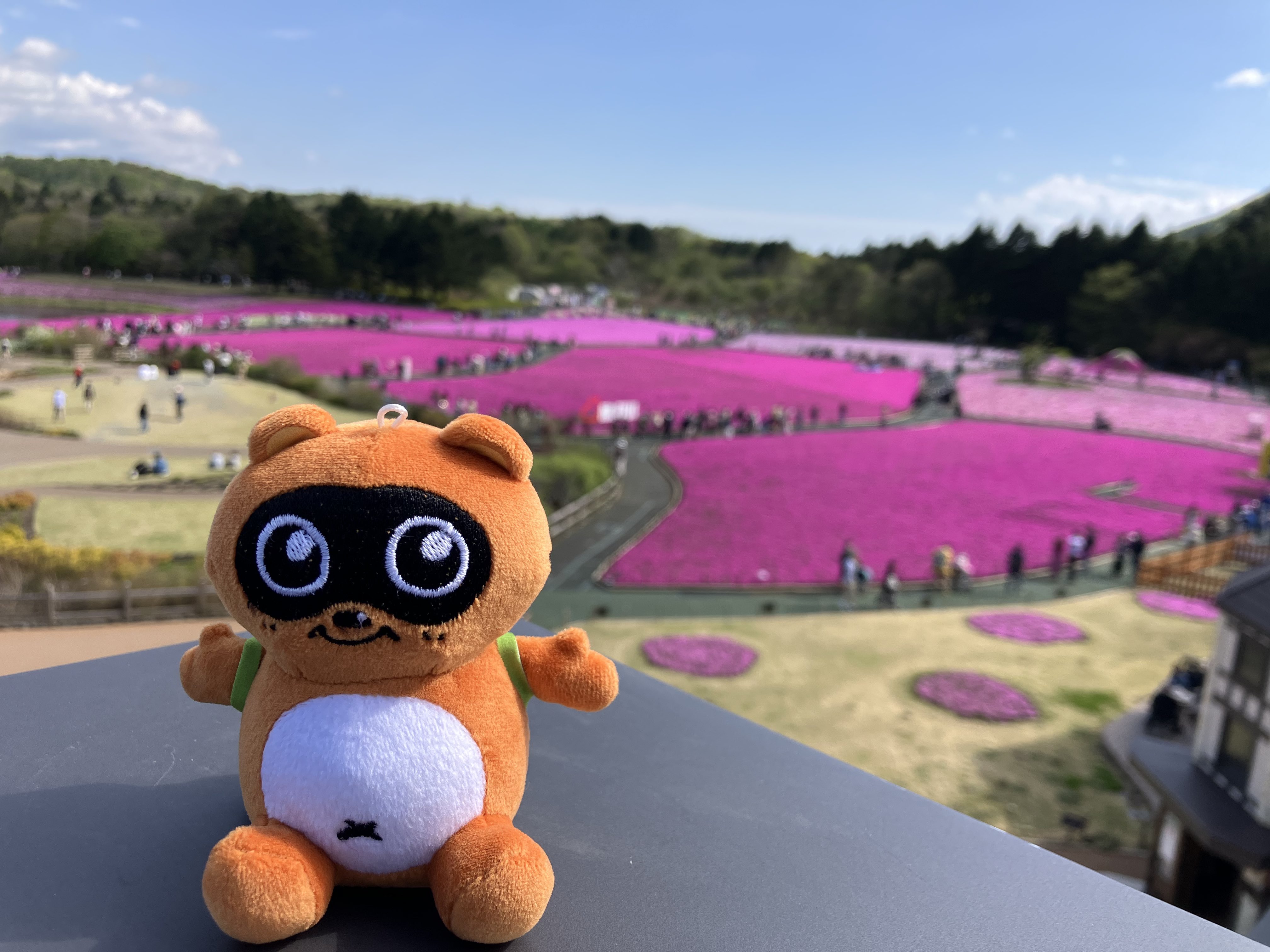 高尾のたぬきち on X: 