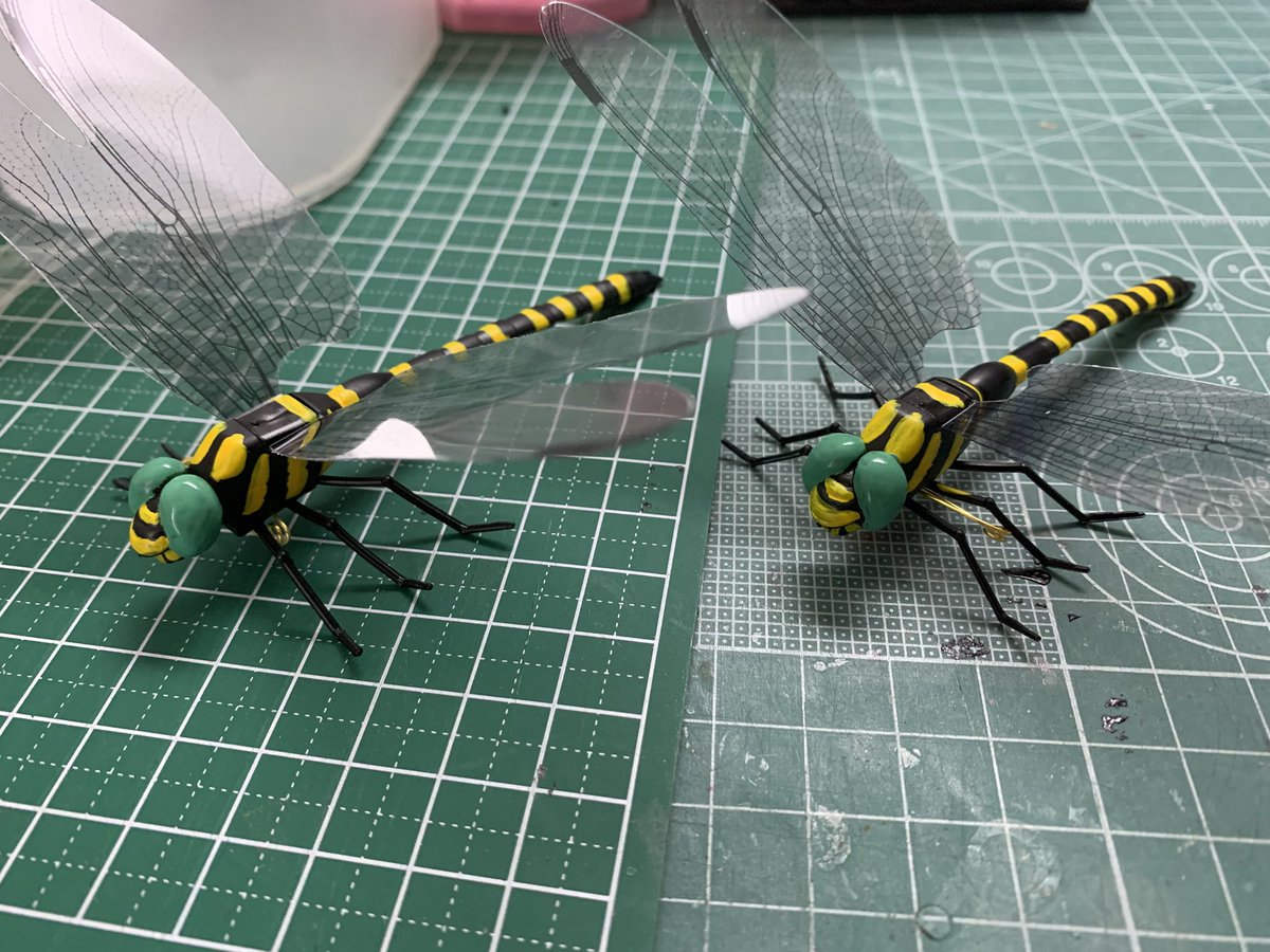 ねこきち (@lHacQFIpOCyPO8t) / Posts / X