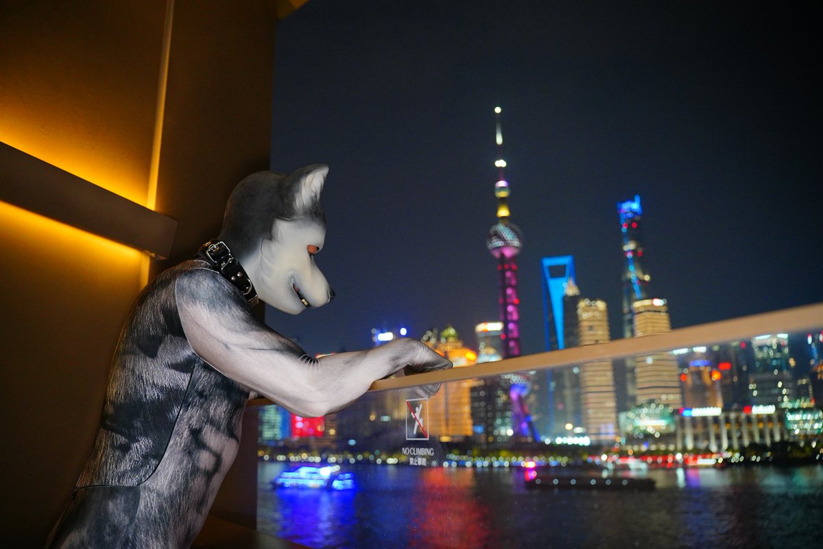 Puppy on the Bund