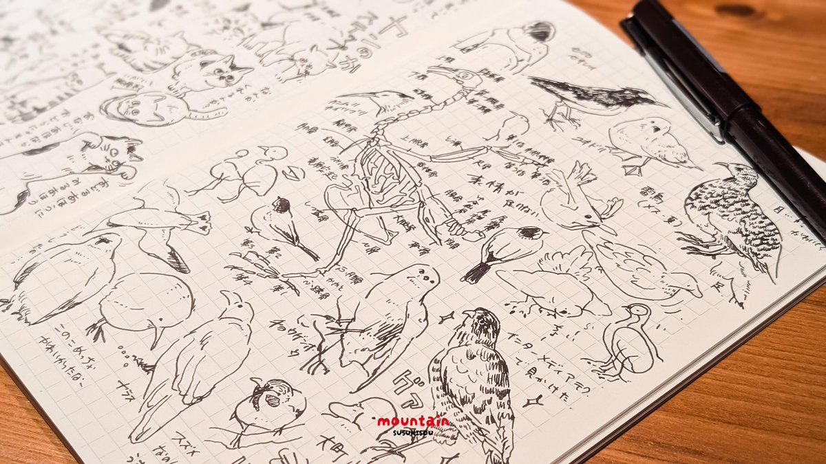 今日から6月1日のコミティアに向けて制作・入稿始めていきます(なんやて?)
すすきのノート【生き物観察編】を入稿間に合えば出す予定です
主に山の生き物観察用に今まで描いてきた落描きを掲載していきます
よろしくお願いします