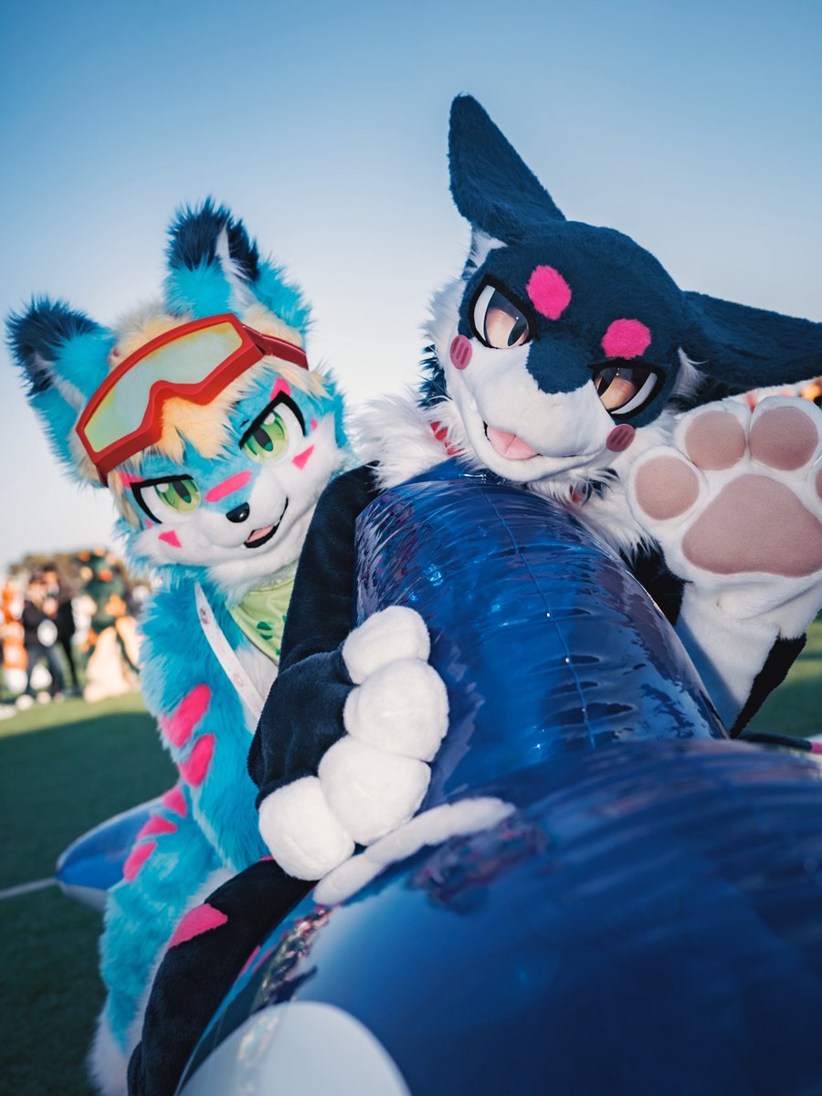 #FursuitsEveryday
#Aru #阿鲁 

🐳🐳🐳

🐾<a href="/Enou_Fursuit/">에누 Enou🐉</a> 
📸: <a href="/TERAPIA_11/">TERAPIA</a>