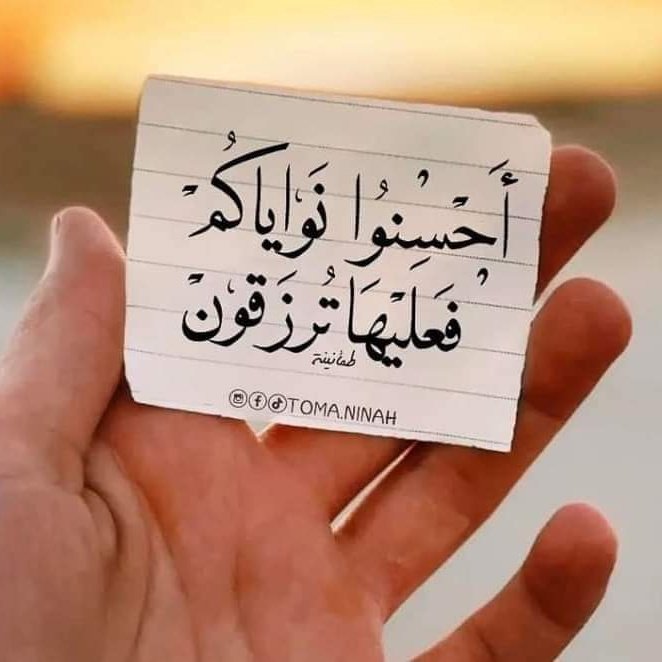 وصل وصل 🍀☘️ tweet media