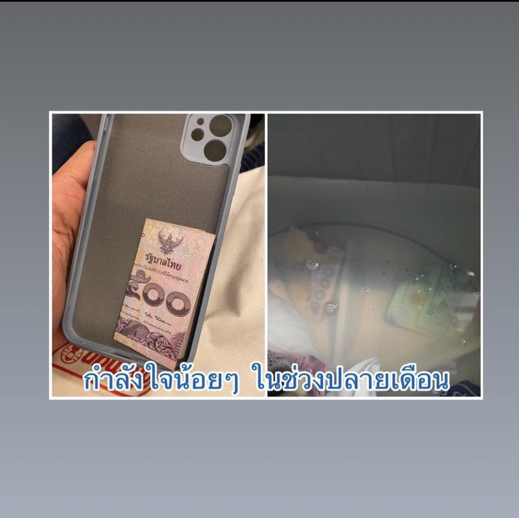 🍕™ tweet media