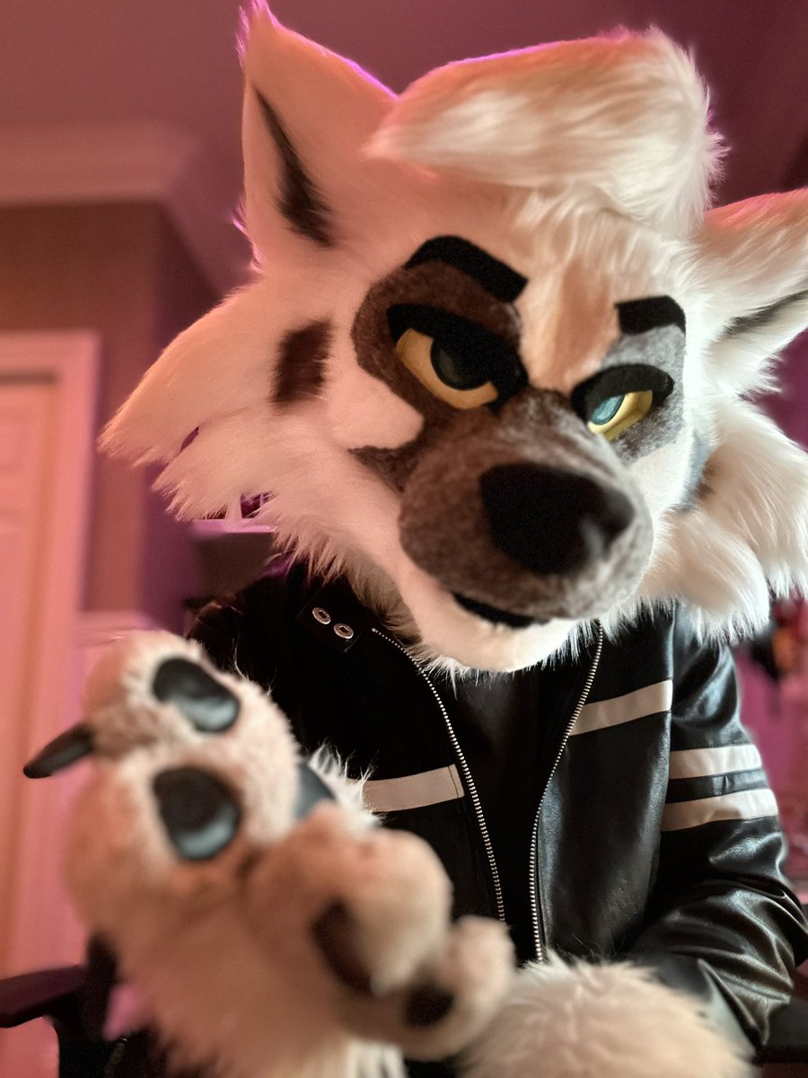 ArcsOutpost's tweet photo. Arc would like your lunch money please and thank you 😌 https://t.co/Kc1StplMk2
