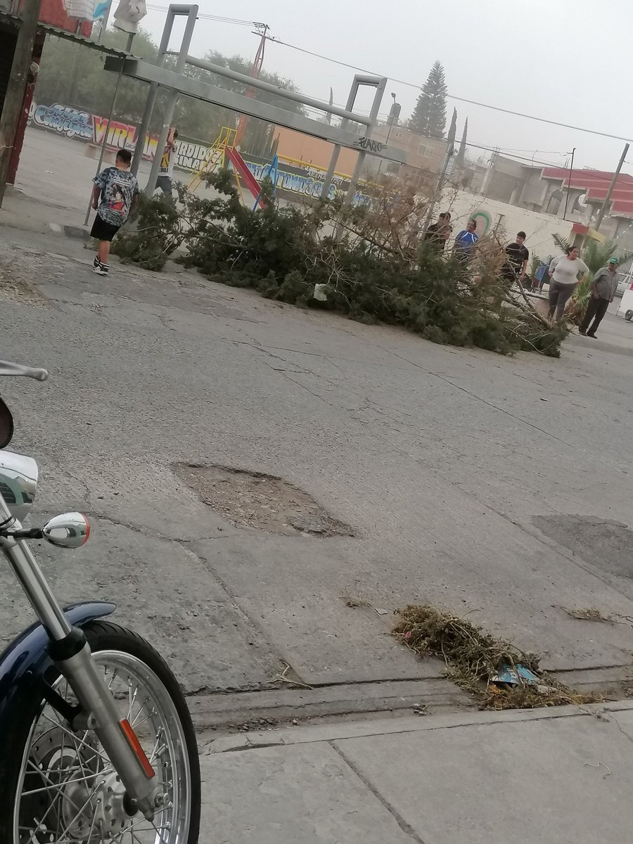 Planoinforma's tweet photo. 🚨🌳Reportan la caída de un árbol en la calle de Simón Diaz; el árbol cayó muy cerca de una parada de autobús. Si vas a salir a calle extrema precauciones, ya que se están registrando ráfagas de viento de más de 50 km/h en algunos puntos de la capital potosina.
#ReportePI https://t.co/gnPOEKl0s0
