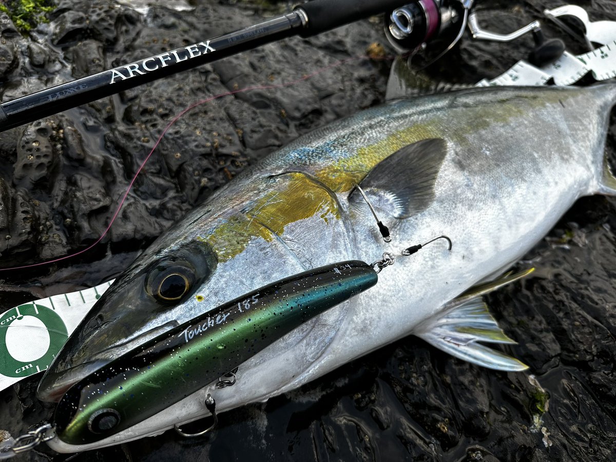 hiron_fish's tweet photo. 【97cm 7.3kg】
大好きな作品で魚を求める。
松本さん、瀬川さん、そして何よりド派手バイトのヒラマサ。
全てに感謝。
ARCFLEXで取ったぞぉぉぉぉぉぉ!!
#ARCFLEX
#がまかつ
#LUXXE https://t.co/LleNc0XE4D