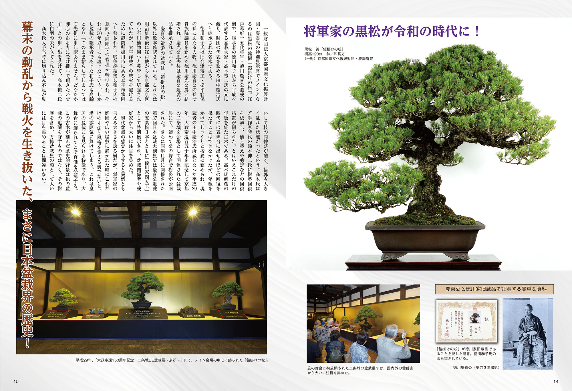 世界の盆栽・水石展＜第10回＞(日本盆栽協会) / 古本屋えん