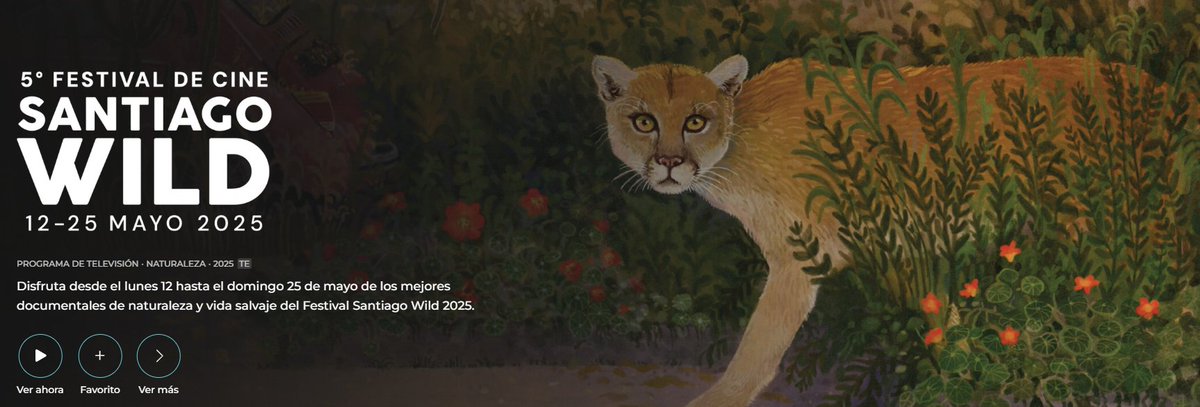 En esta noche lluviosa puedes dar calor a tu alma viendo los documentales finalistas de Santiago Wild de <a href="/ladera_sur/">Ladera Sur 🌎</a>  en Ondamedia.cl.
#SantiagoWild #FestivalDeCine