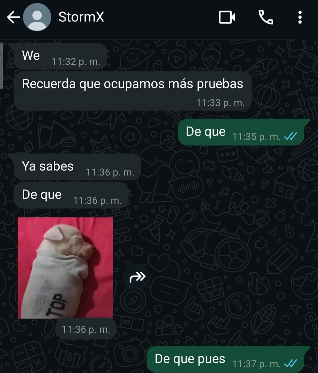 Rose Of Umbra tweet media