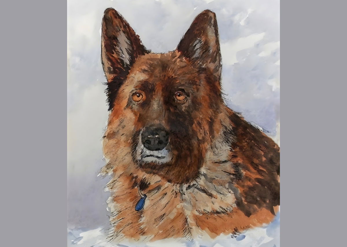artlesson's tweet photo. Learn to sketch and paint a German Shepherd in this step-by-step line and wash tutorial.
🎨 Expressive pen work
💧 Layered watercolor washes
❄️ Soft snow base
📚 Perfect for beginners to intermediate!

#watercolorart #lineandwash #dogportrait #petpainting #germanshepherdart https://t.co/wo7QV4iBnB