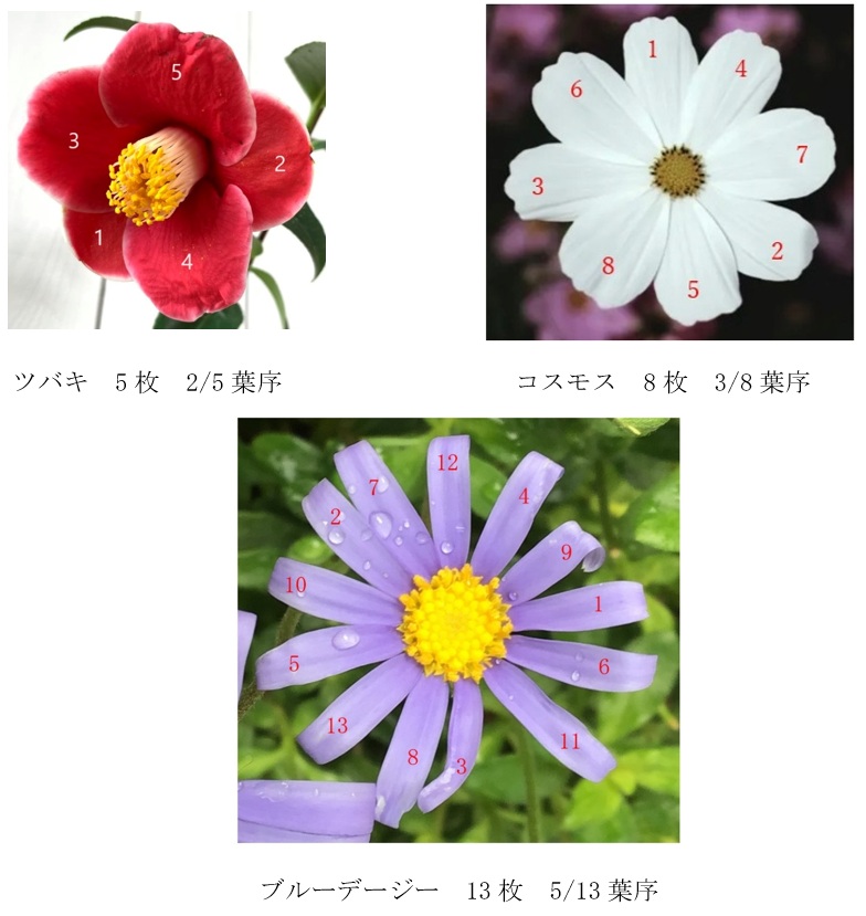 Yutaka Nishiyama on X