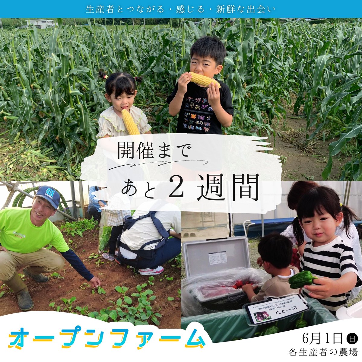 openfarm_jp's tweet photo. 足を運ぶ農園はお決まりですか？予約は済んでますか？
あと２週間待ち遠しいです😁

💐第9回オープンファーム＼一斉農場開放デー／🌽
日時： 2025年6月1日(日)　10:00-16:00
場所： 各生産者の農場
公式： https://t.co/Z4HoqLQXVc
後援： 東海農政局、愛知県、豊橋市、豊川市、田原市、湖西市、岡崎市 https://t.co/KDNINclEz7