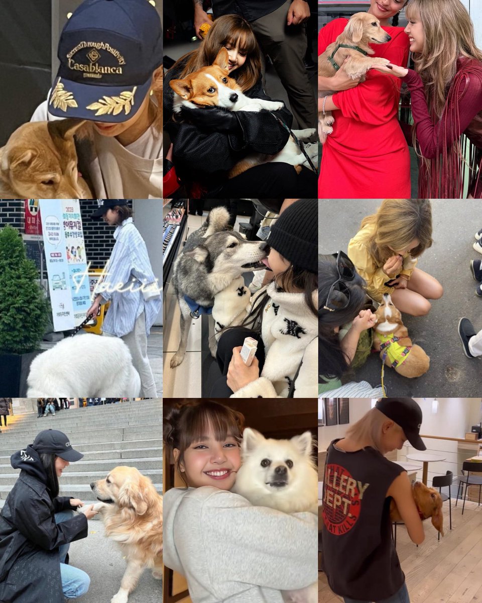 yk2aii's tweet photo. She can't help but playing and interacting with dogs 🥺 https://t.co/ZW2FyhJzas