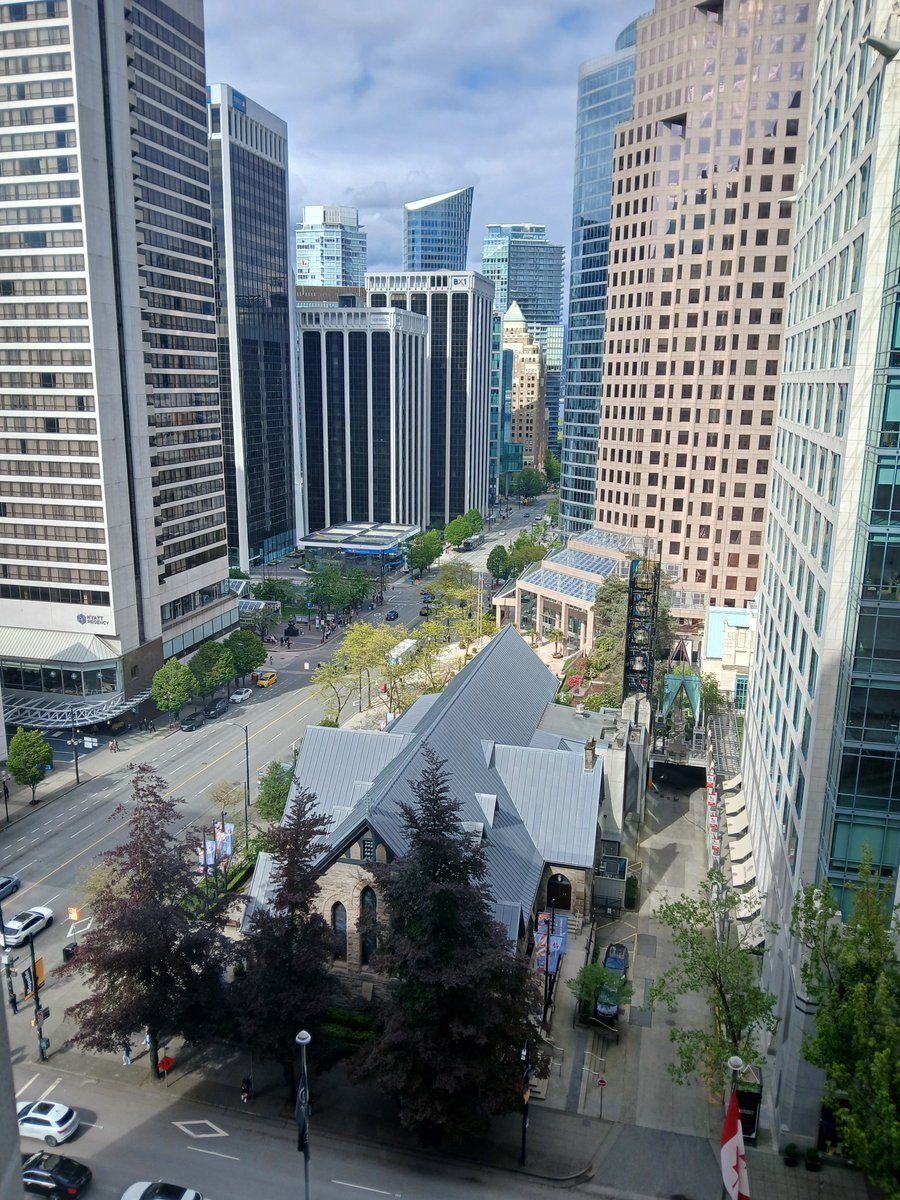 Kieran Wilson 🍁👑 tweet media