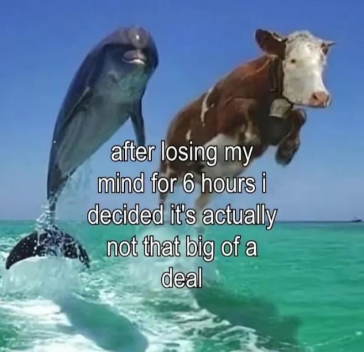 Respectful Memes (@respectfulmemes) on Twitter photo 