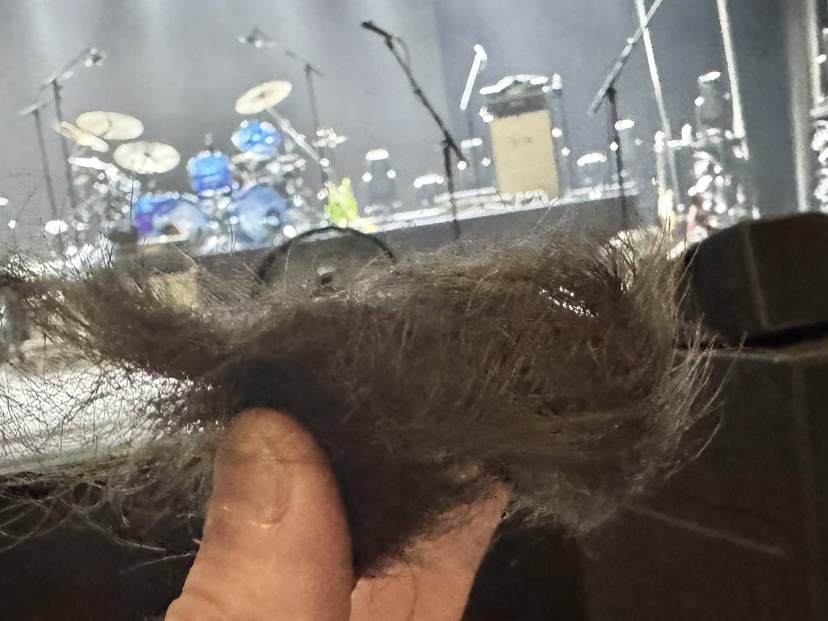 Wombat_Mätt ✭ tweet media