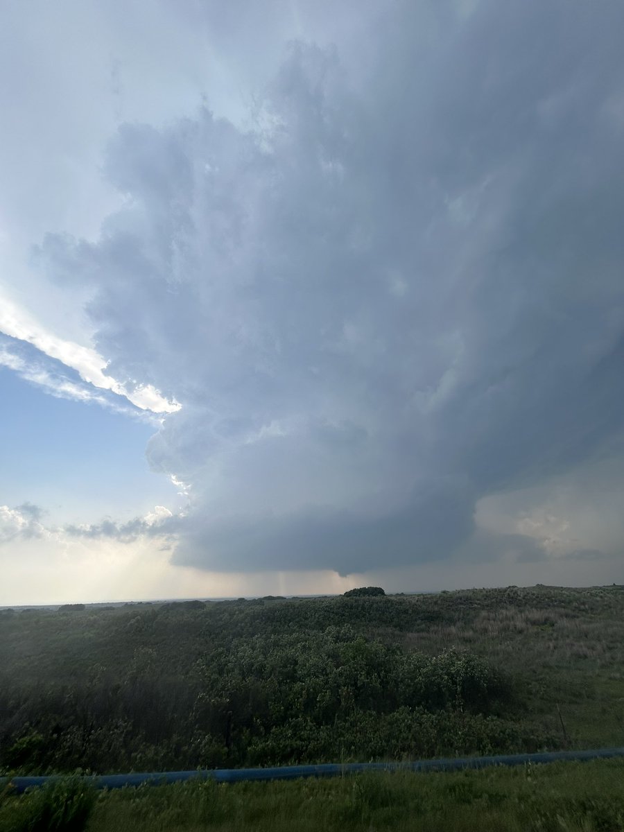 Kelly Geiger🌈 tweet media