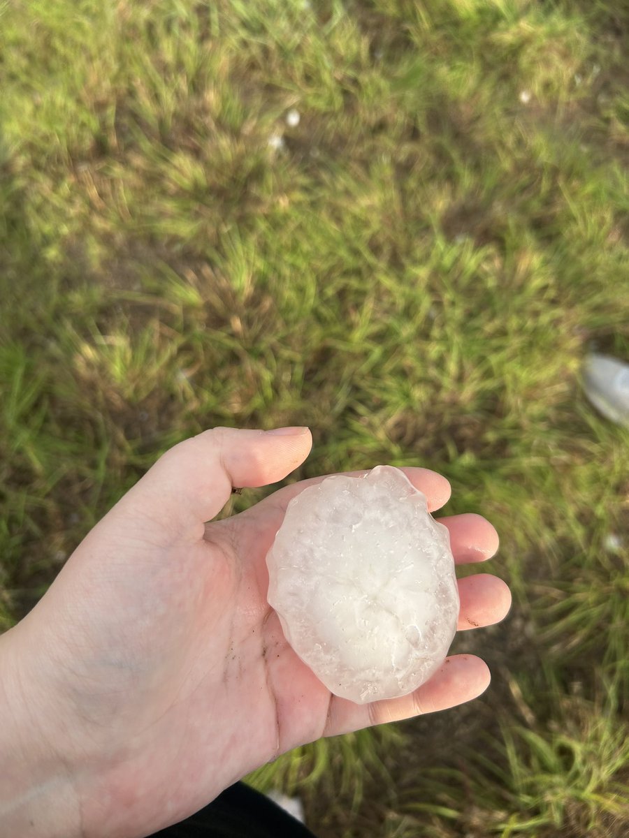 Kelly Geiger🌈 tweet media