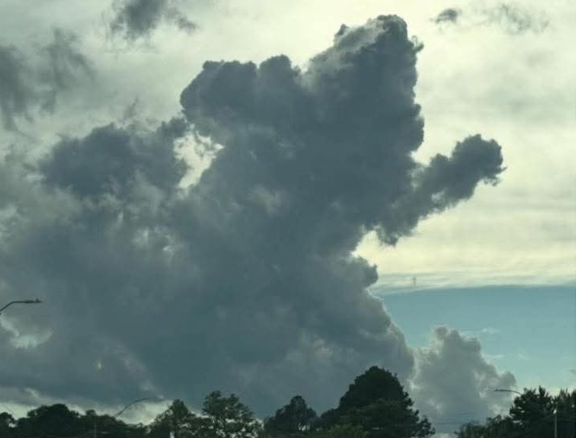 Bigfoot was reported today along the upper Gulf coast...
