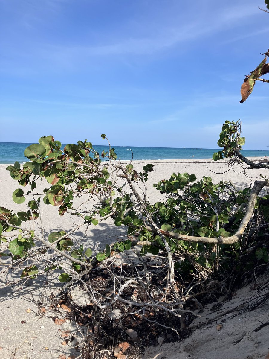 Eric Lundman tweet media