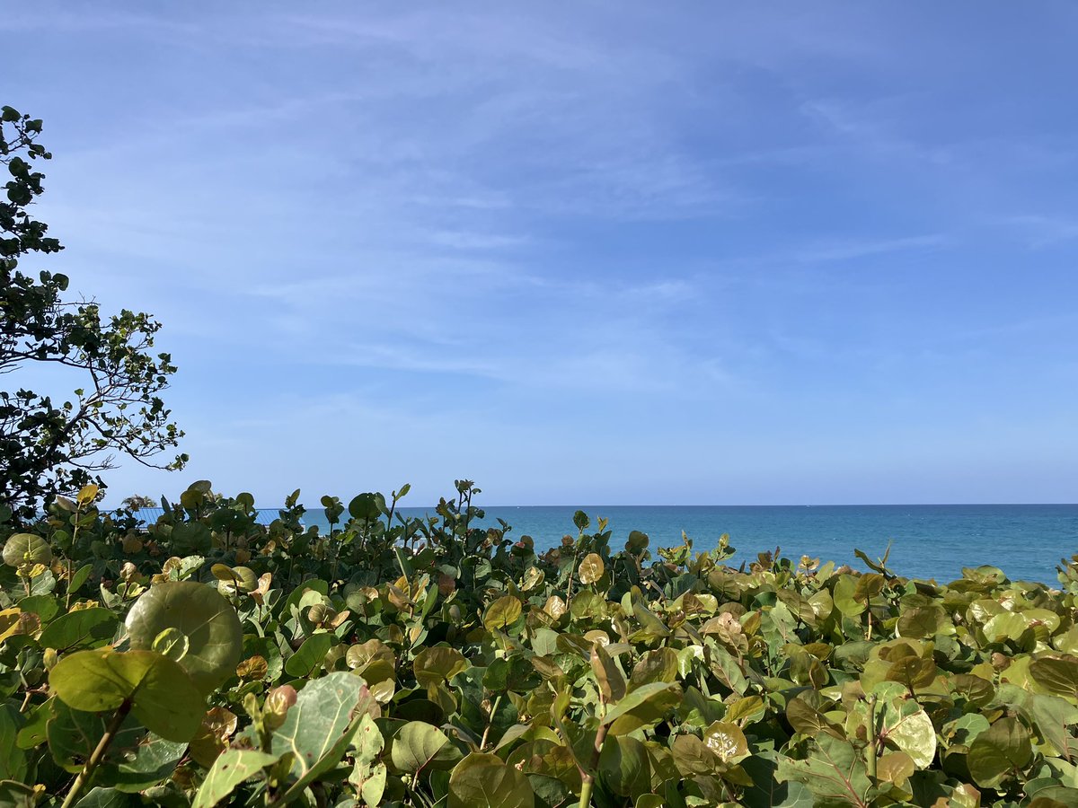 Eric Lundman tweet media