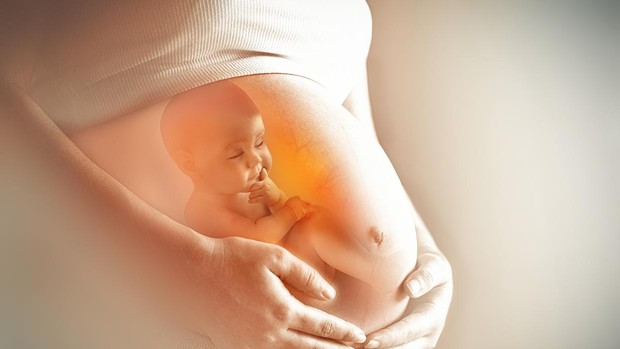 JBGSaborido's tweet photo. #SiALasDosVidas "REFLEXIONES SOBRE LA DEFENSA DE LA VIDA QUE INCLUYEN, PERO TRASCIENDEN LA CUESTIÓN DE LA LEGALIZACIÓN DEL ABORTO"
https://t.co/OYQAJuKAw4 https://t.co/ViC3CMXW8M
