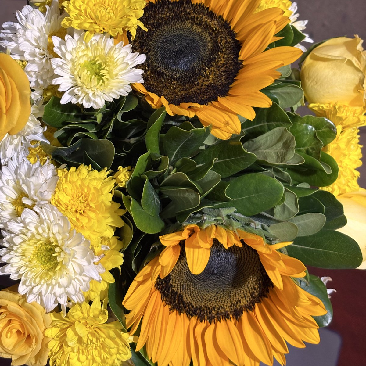 pammlm's tweet photo. 💛🌼🌻 https://t.co/tZJ1dGihBO