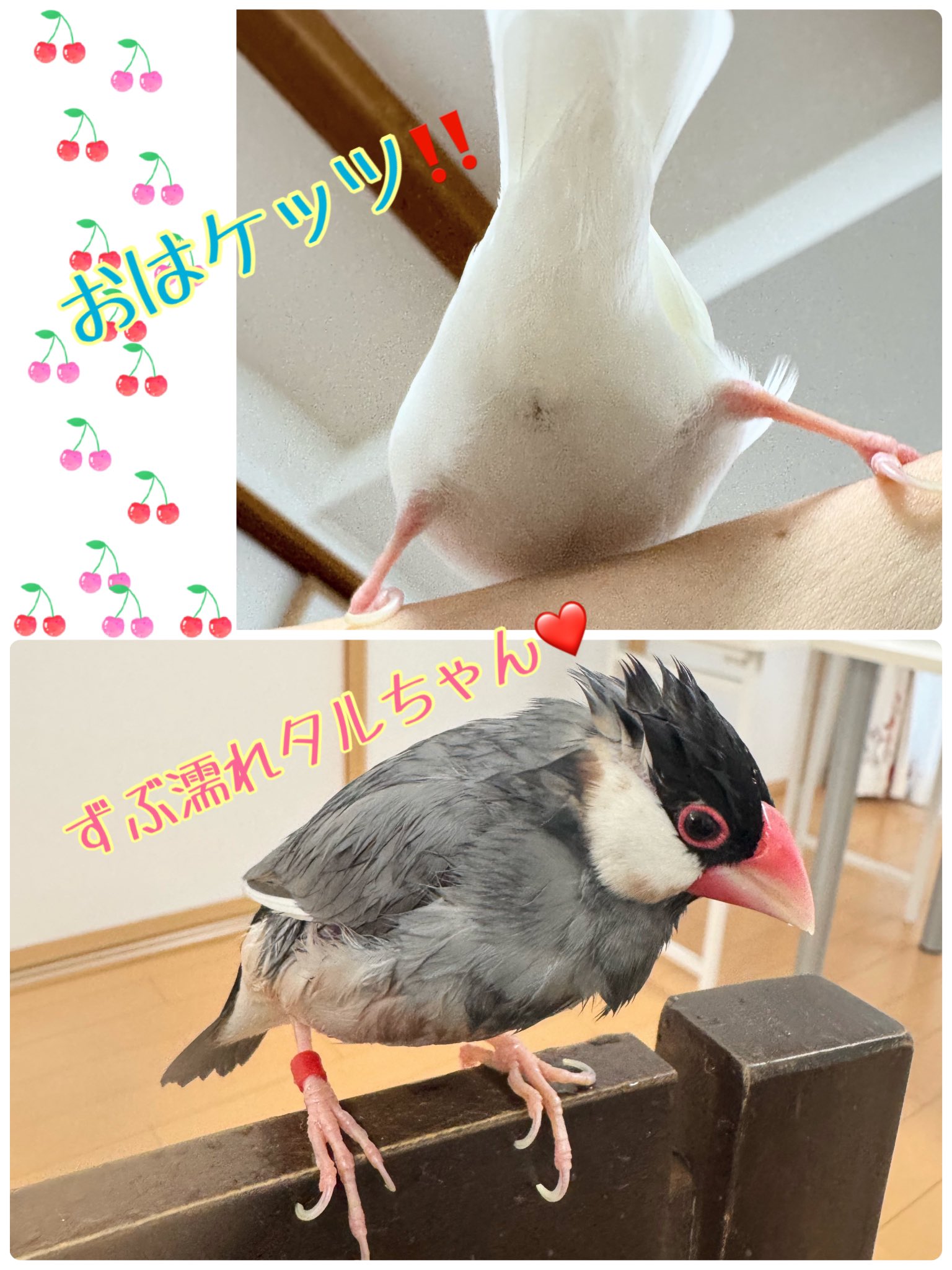 大月ももな ♡ on X: 