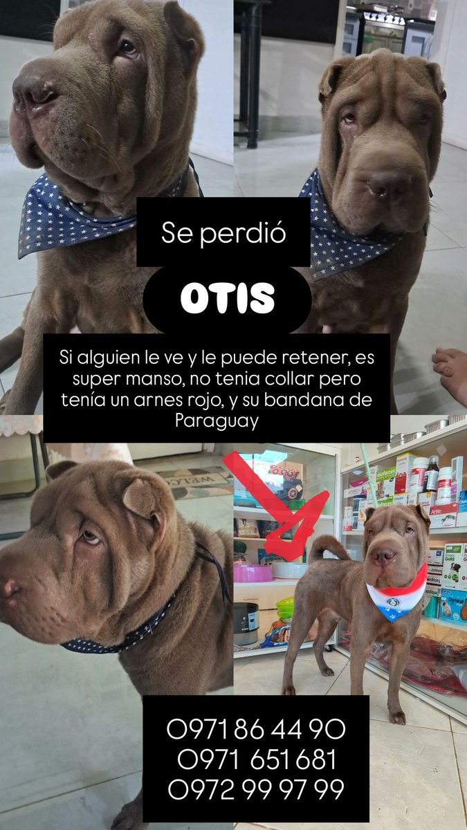 MarisaTorresVysokolán tweet media