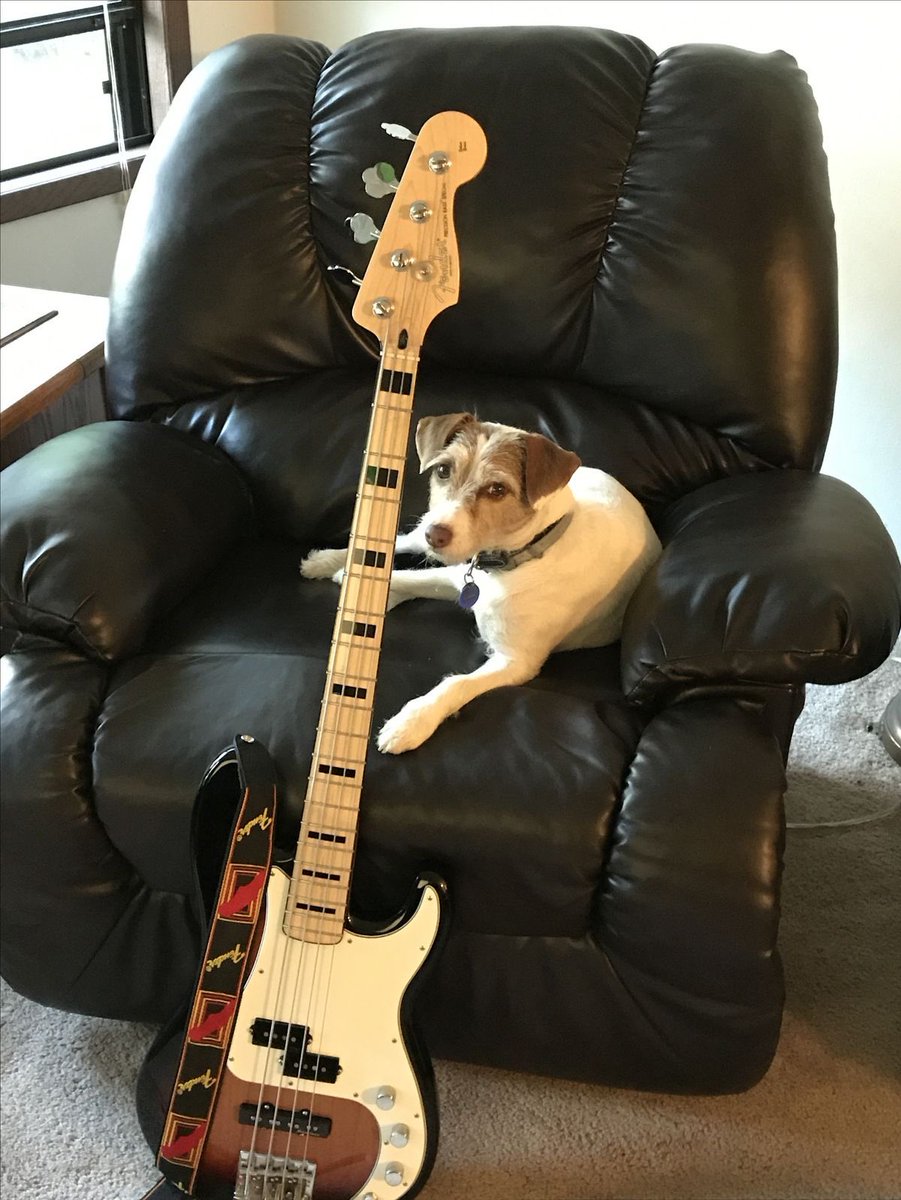 ࣪ (@dailypupwentz) on Twitter photo 