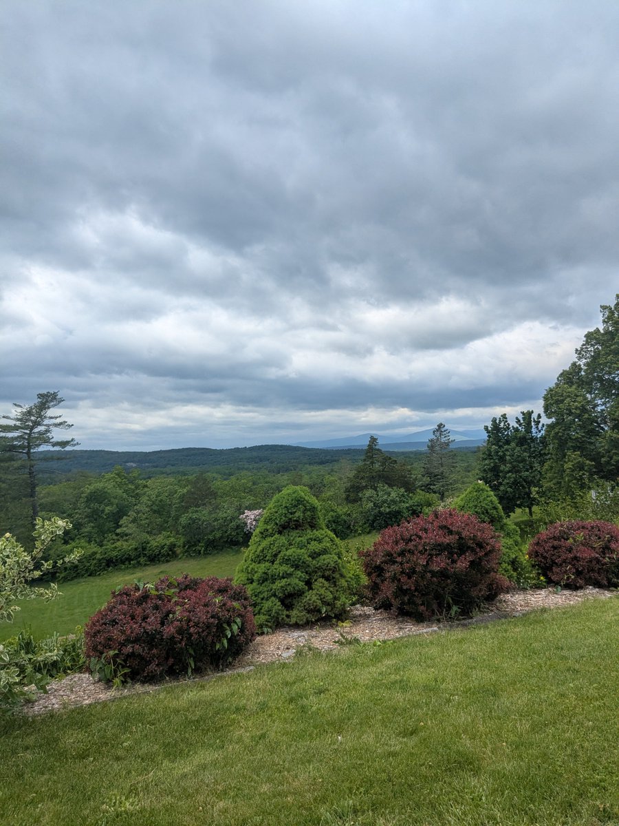 Nancy H (@nhuleatt54300) on Twitter photo 