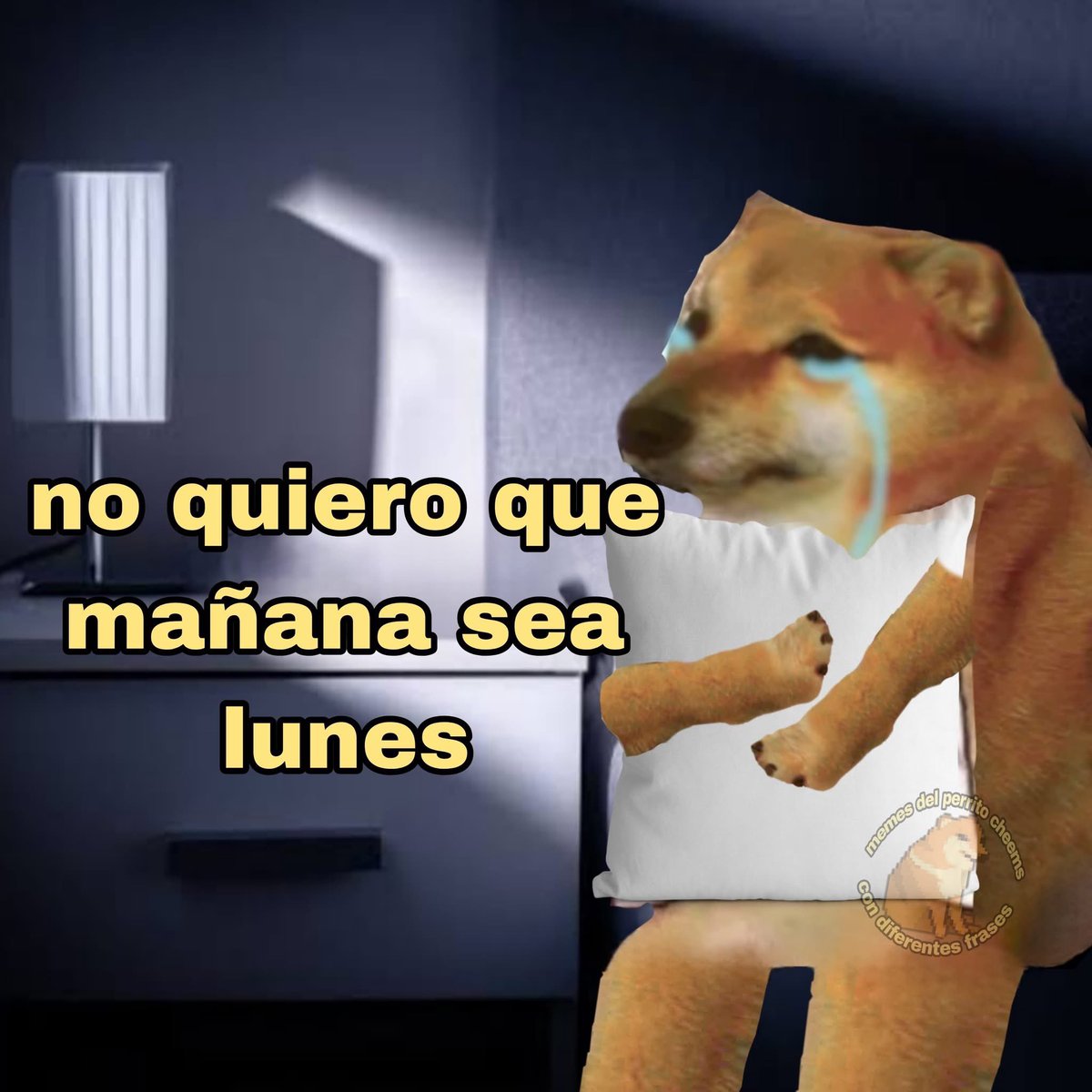 🐶