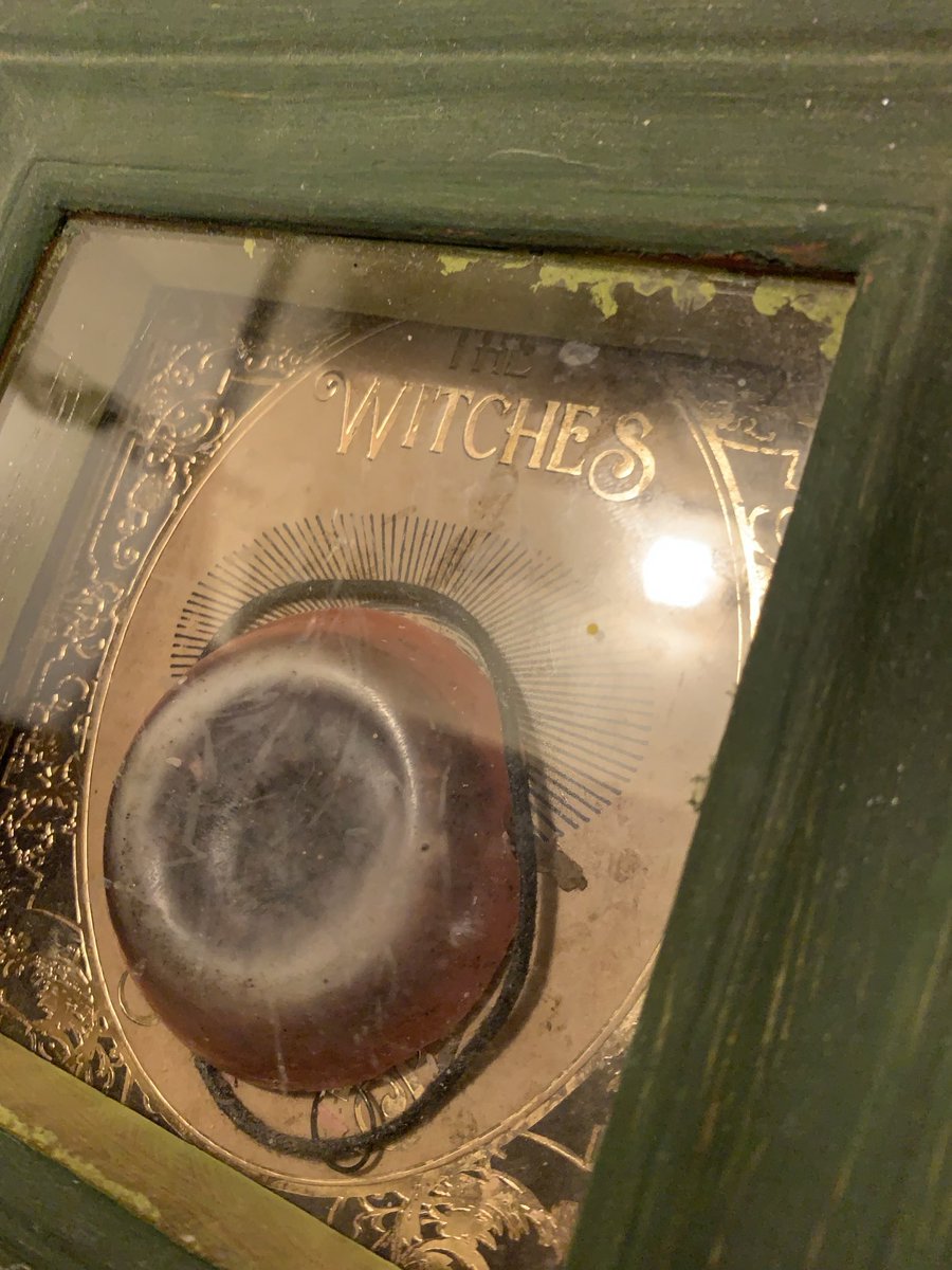 Persephone tweet media